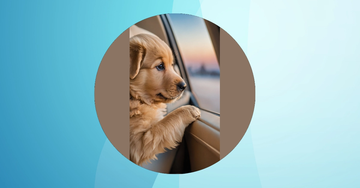 Pup-tastic Styles: 12 Irresistible Puppy Wallpaper Ideas