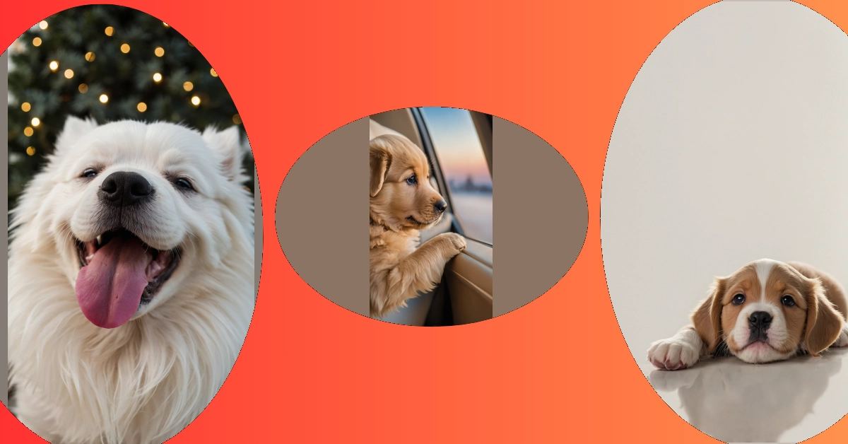 Wagging Tails and Aesthetic Details: 12 Puppy Wallpapers to Adore